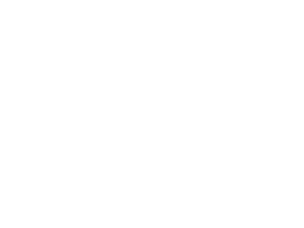 熱質式流量計 Thermal Gas Flow Meter